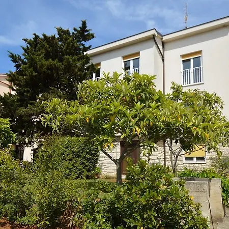 Nela 23